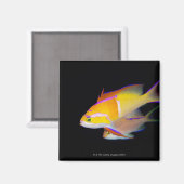 White Bar Anthias Magneet (Voorkant / Achterkant)