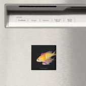 White Bar Anthias Magneet (Insitu (Vaatwasser))