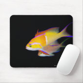 White Bar Anthias Muismat (Met muis)