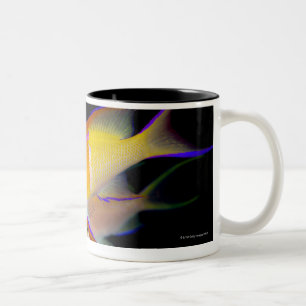 White Bar Anthias Tweekleurige Koffiemok