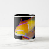 White Bar Anthias Tweekleurige Koffiemok (Center)