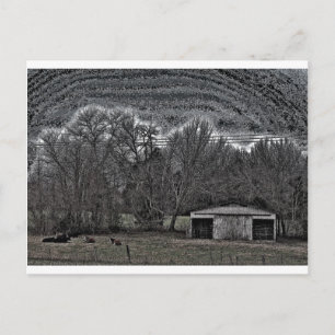 White Barn Briefkaart