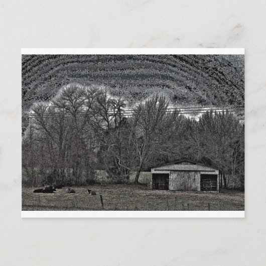 White Barn Briefkaart (Voorkant)