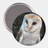 White Barn Owl Magneet (Voorkant / Achterkant)