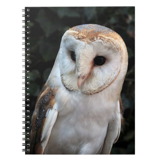 White Barn Owl Notitieboek (Voorkant)