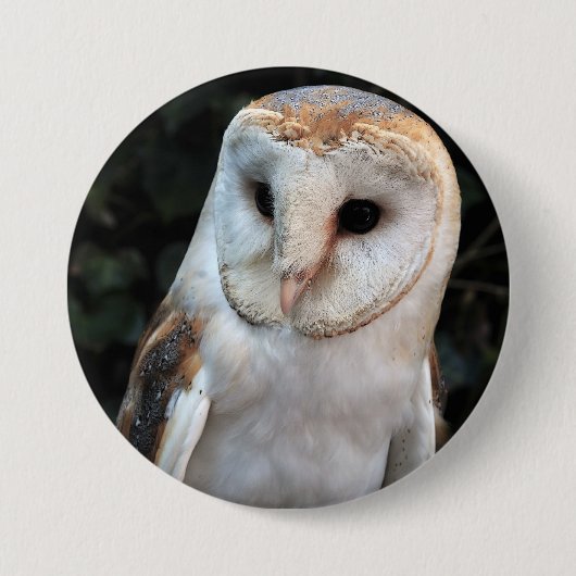 White Barn Owl Ronde Button 7,6 Cm (Voorkant)