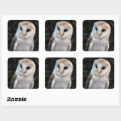 White Barn Owl Vierkante Sticker (Vel)