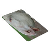 White Baroque Donkey Magneet (Rechterzijde)