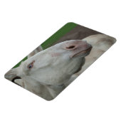 White Baroque Donkey Magneet (Linkerzijde)