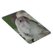 White Baroque Donkey Magneet (Rechterzijde)