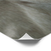 White Baroque Donkey Perfect Poster (Hoek)