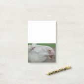 White Baroque Donkey Post-it® Notes (Op bureau)