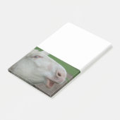 White Baroque Donkey Post-it® Notes (Schuin)