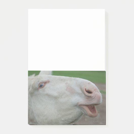 White Baroque Donkey Post-it® Notes (Voorkant)