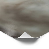 White Baroque Donkey Poster (Hoek)