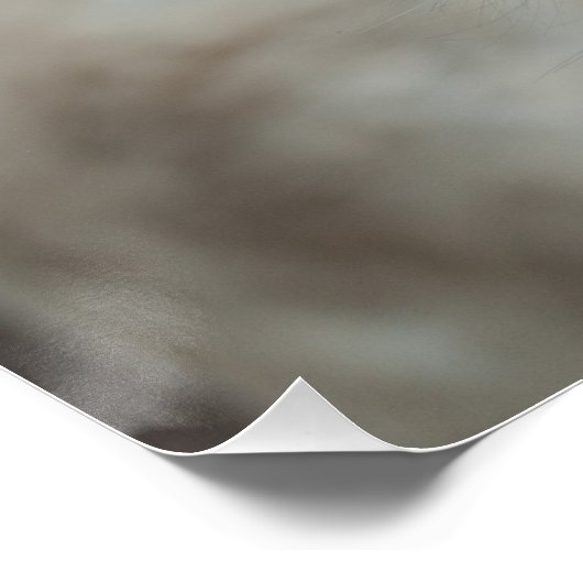 White Baroque Donkey Poster (Hoek)