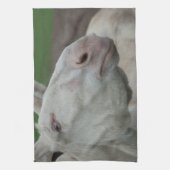 White Baroque Donkey Theedoek (Verticaal)