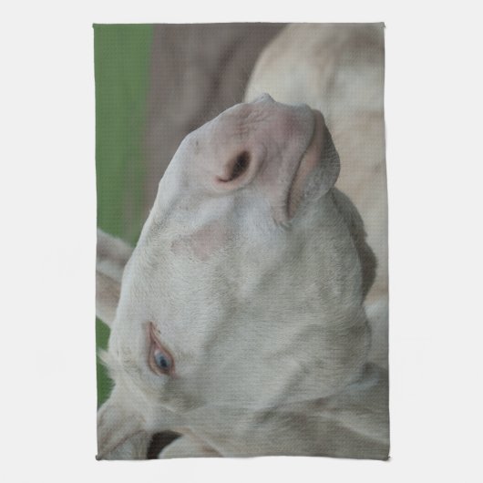 White Baroque Donkey Theedoek (Verticaal)