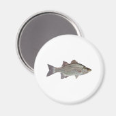 White Bass Logo Magneet (Voorkant / Achterkant)