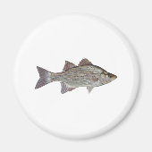 White Bass Logo Magneet (Voorkant)