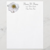 White Beach Roos Coordinating Items Letterhead Briefhoofd Sjabloon (Voorkant)