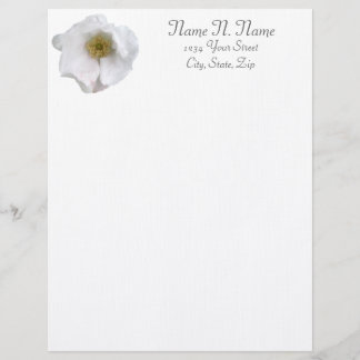 White Beach Roos Coordinating Items Letterhead Briefhoofd Sjabloon