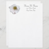 White Beach Roos Coordinating Items Letterhead Briefhoofd Sjabloon (Voorkant / Achterkant)