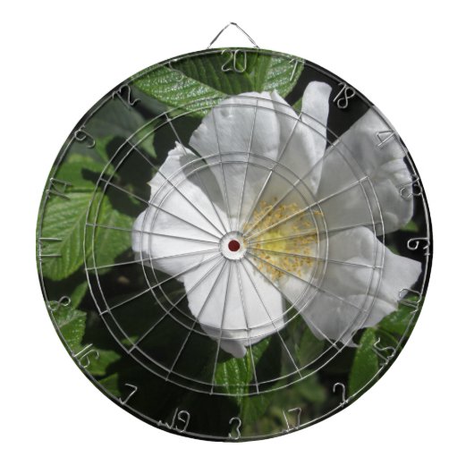 White Beach Roos Dartbord (Voorkant)