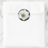 White Beach Roos Sticker (Tas)