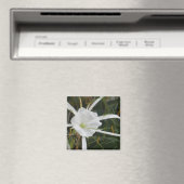 White Beach Spider Lily Lilies Flower foto Magneet (Insitu (Vaatwasser))