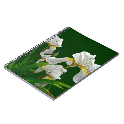 White Bearted Iris Blossom Notitieboek (Linkerzijde)