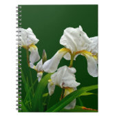 White Bearted Iris Blossom Notitieboek (Voorkant)
