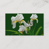 White Bearted Iris Blossom Visitekaartje (Achterkant)