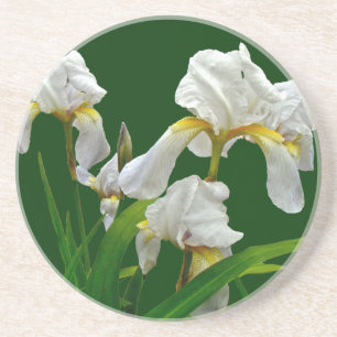 White Bearted Iris Blossom Zandsteen Onderzetter