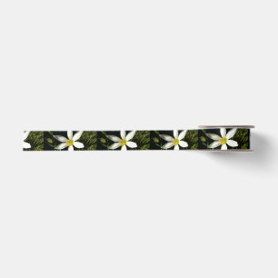White Beauty 1,5-inch breedband Satijnen Lint