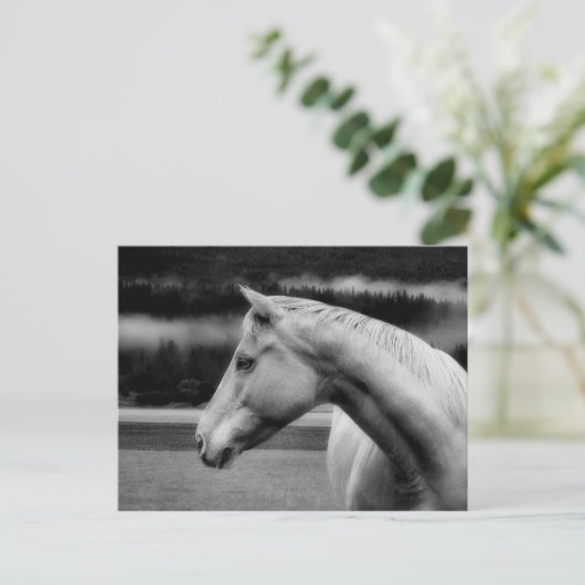 White Beauty Post Card Briefkaart (Staand voorkant)