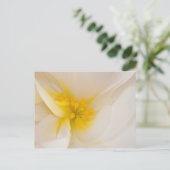 White Begonia Briefkaart (Staand voorkant)