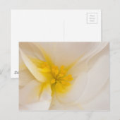 White Begonia Briefkaart (Voorkant / Achterkant)