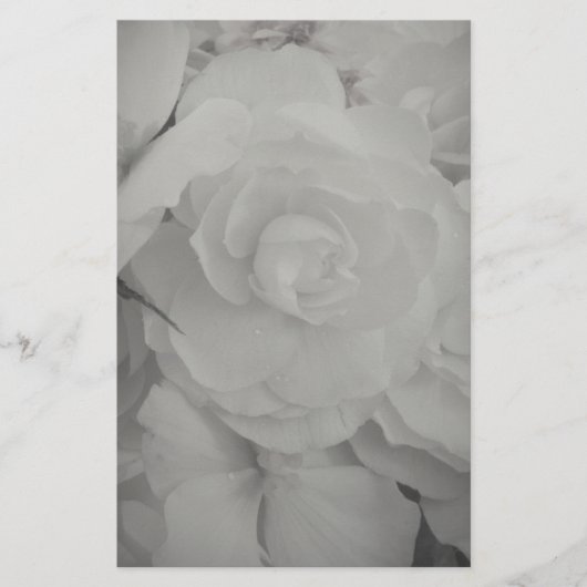 White Begonia Briefpapier (Voorkant)