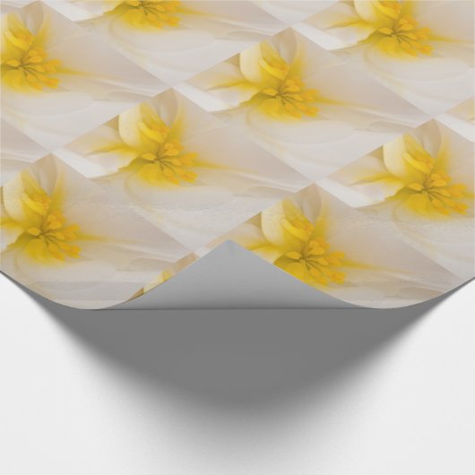 White Begonia Cadeaupapier (Hoek)