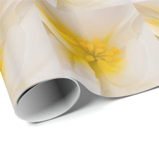 White Begonia Cadeaupapier (Rol Hoek)