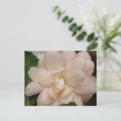 White Begonia Flower Briefkaart (Staand voorkant)
