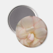 White Begonia Flower Magnet (Voorkant / Achterkant)