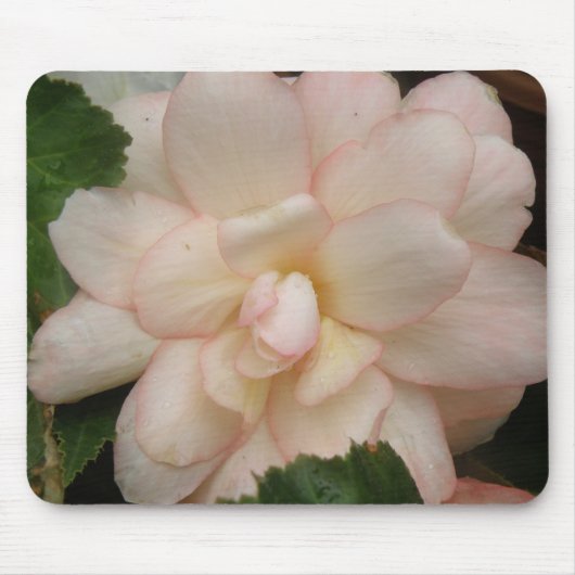 White Begonia Flower Mousepad Muismat (Voorkant)