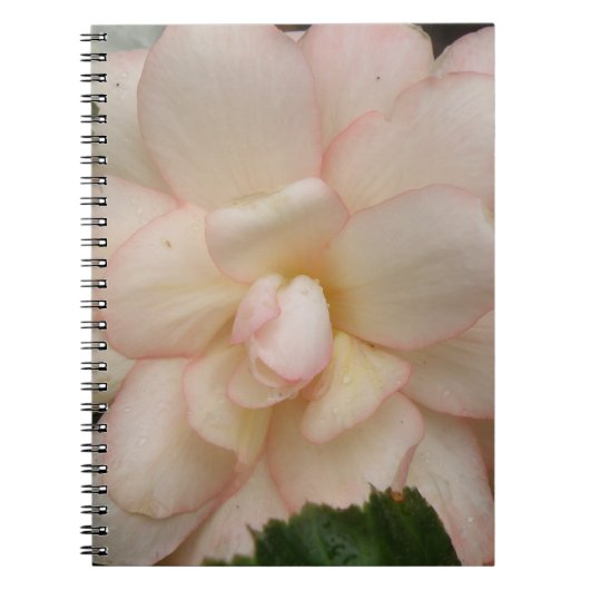 White Begonia Flower Notitieboek (Voorkant)