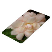 White Begonia Flower Premium Magnet Magneet (Linkerzijde)