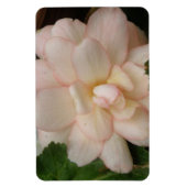 White Begonia Flower Premium Magnet Magneet (Verticaal)