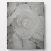 White Begonia Fotoplaat (Voorkant)