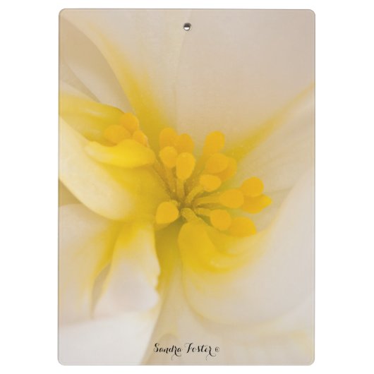 White Begonia Klembord (Achterkant)