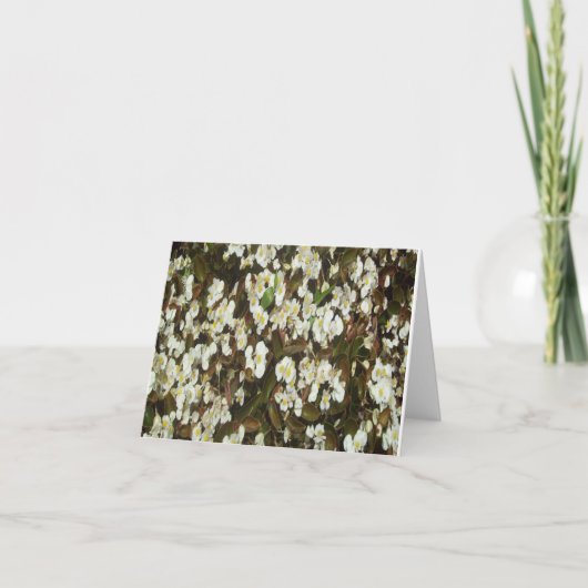 White Begonia Photo Folded Note Kaart (Voorkant)